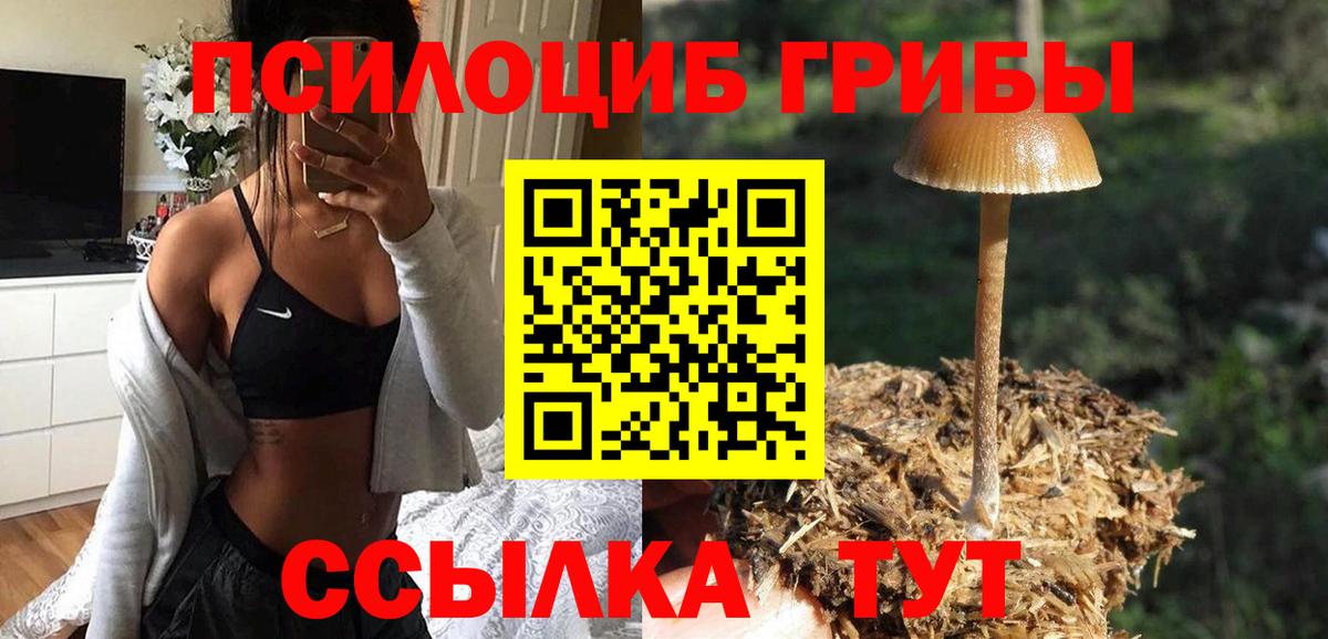 Галлюциногенные грибы ЛСД  Вход с VPN  Галлюциногенные грибы Psilocybe  Черкесск 