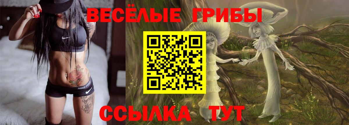 Псилоцибиновые грибы прущие грибы Черкесск